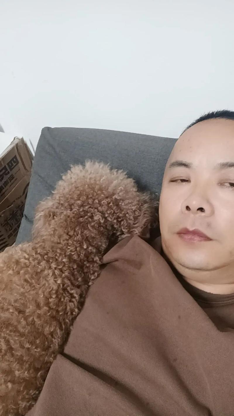 衡总好安逸哦 7月前&middot;浙江 0 分享 回复 衡传贵专业户外沙发工厂